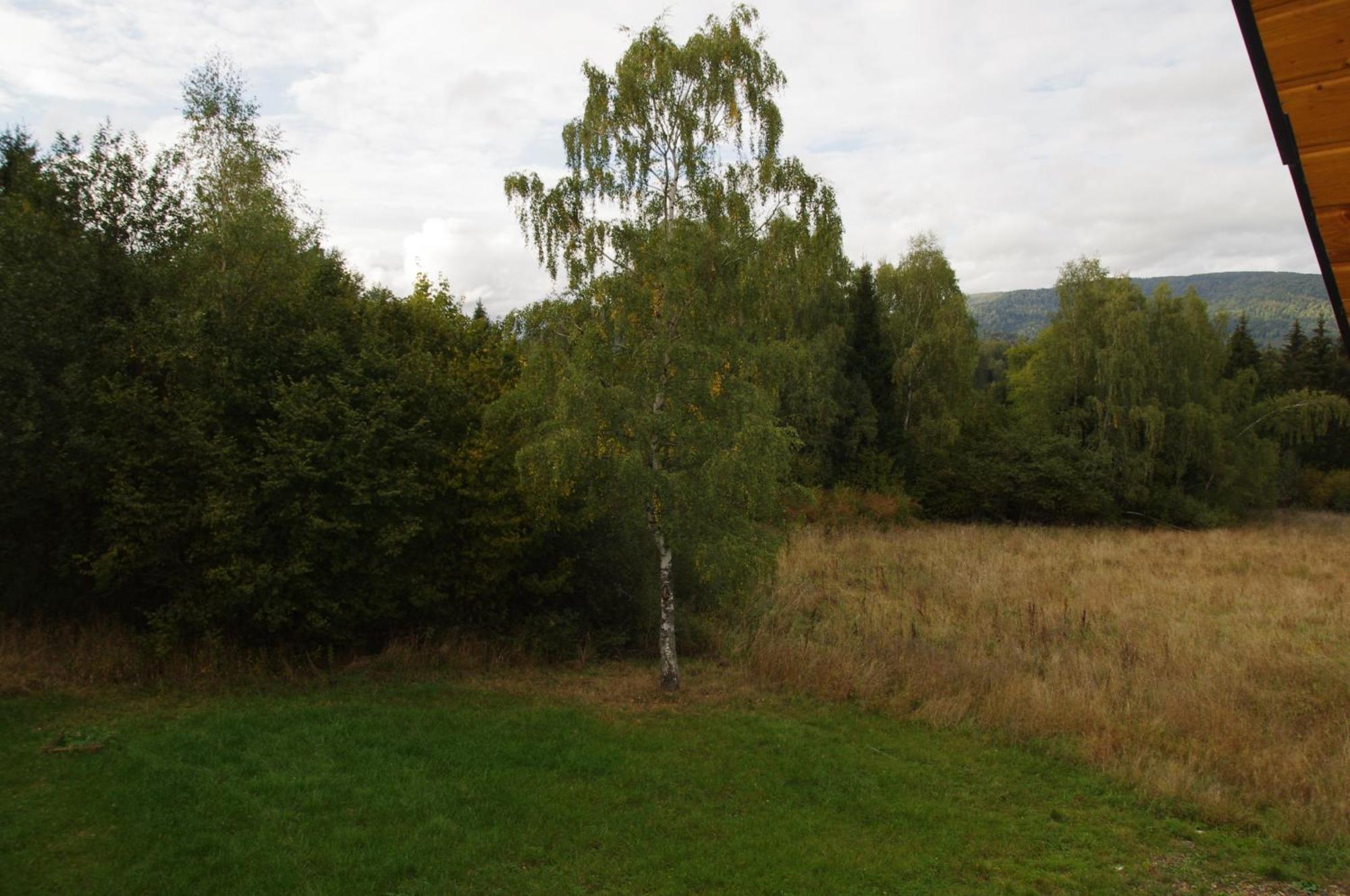 Magiczne Bieszczady - Smerek 86 Cisna Exterior photo